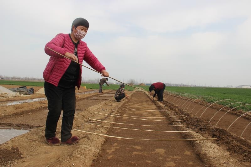 疫情防控、春耕生產(chǎn)兩手抓